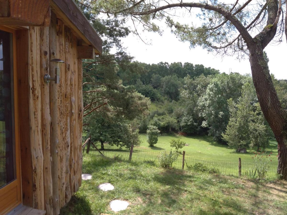 Villemur-sur-Tarn La Cabane En Bois מראה חיצוני תמונה