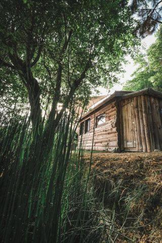 Villemur-sur-Tarn La Cabane En Bois מראה חיצוני תמונה